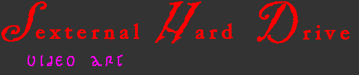 Sexternal Hard drive video art